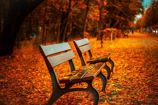 benches